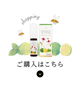 ご購入はこちら