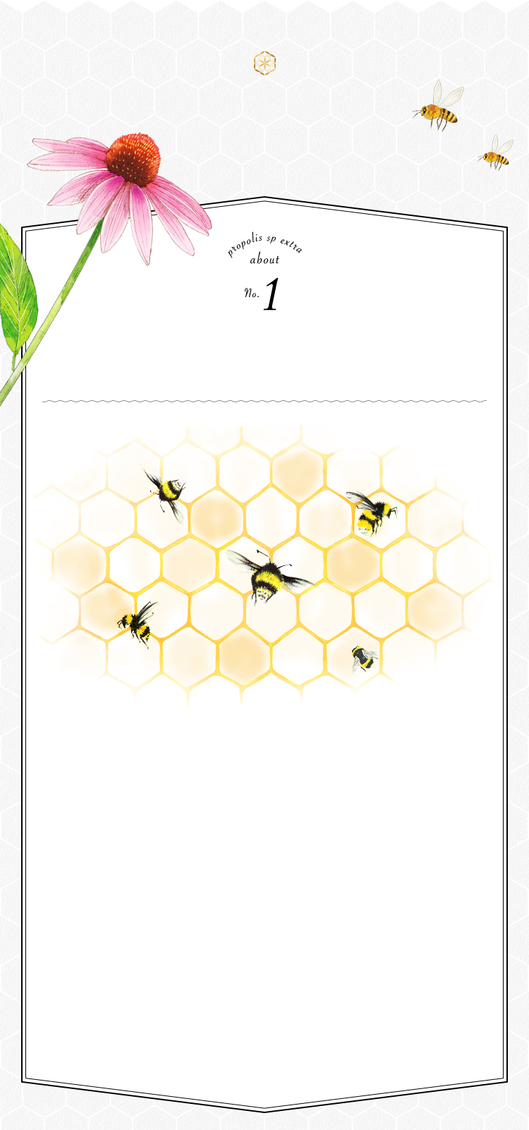 プロポリスとは
