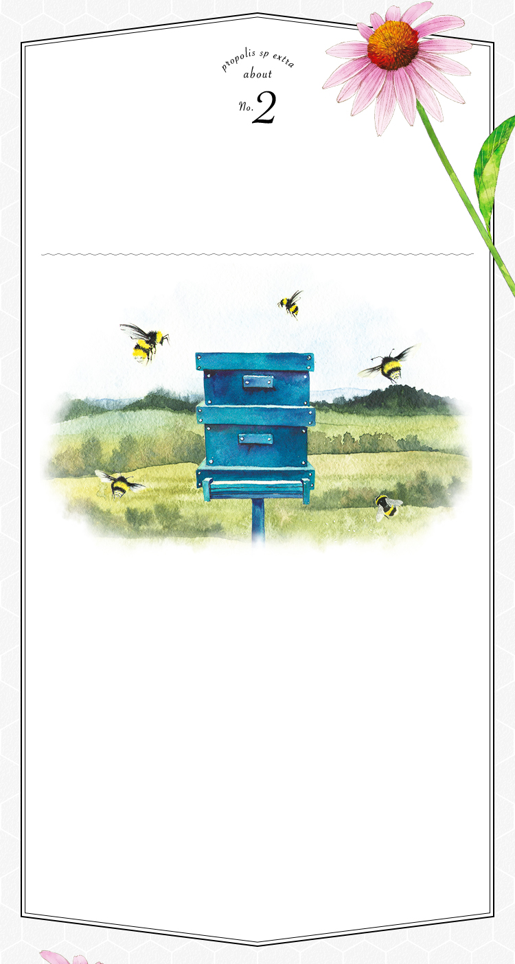 プロポリスとは