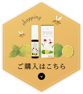 ご購入はこちら